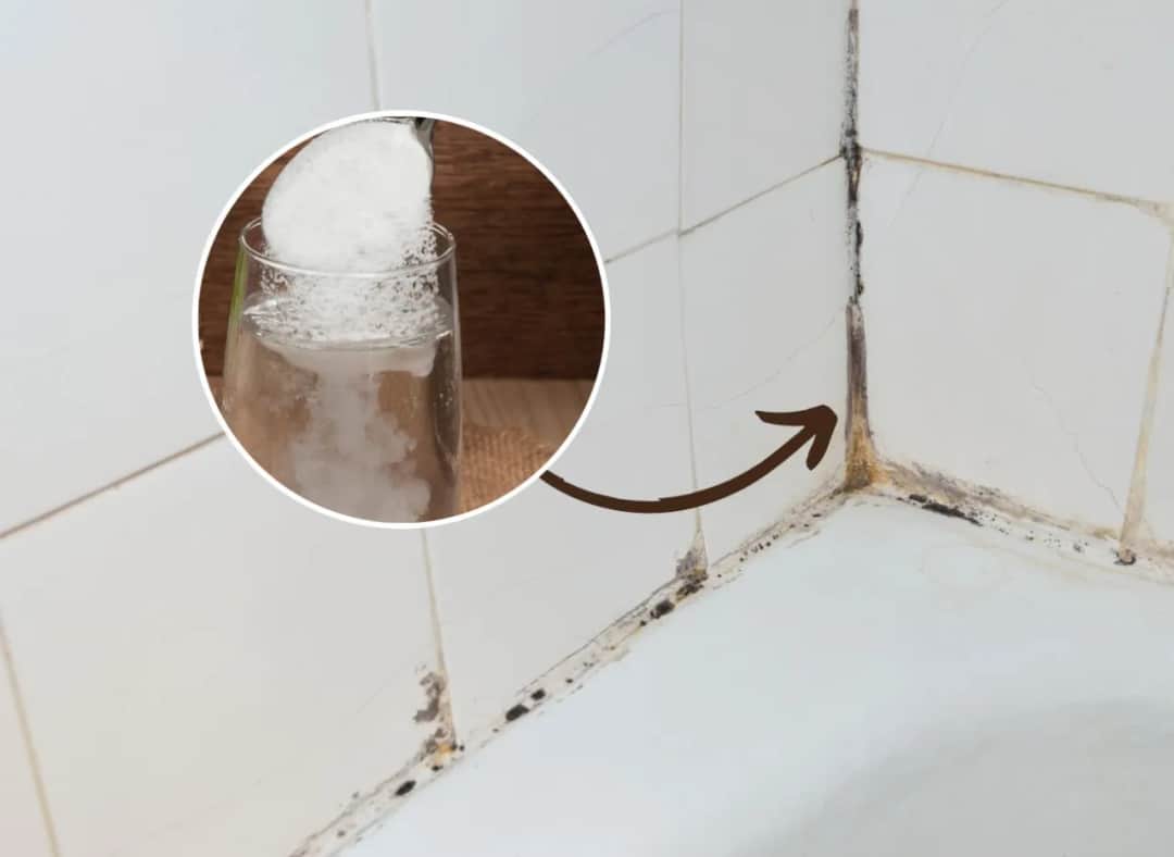 Skuteczne sposoby na usunięcie grzyba z fug i zapobieganie mu