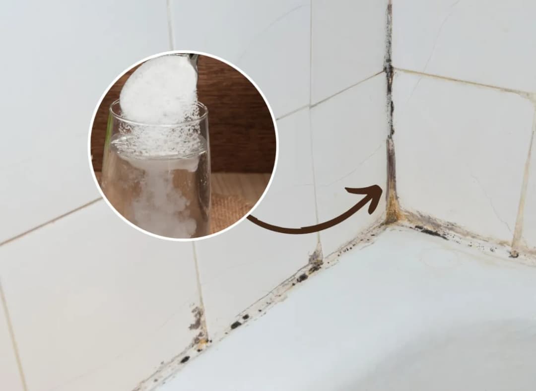 Skuteczne sposoby na usunięcie grzyba z fug i zapobieganie mu