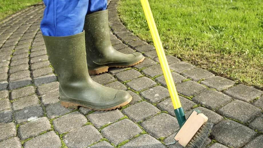 Skuteczne sposoby na to, czym wyczyścić kostkę brukową z mchu