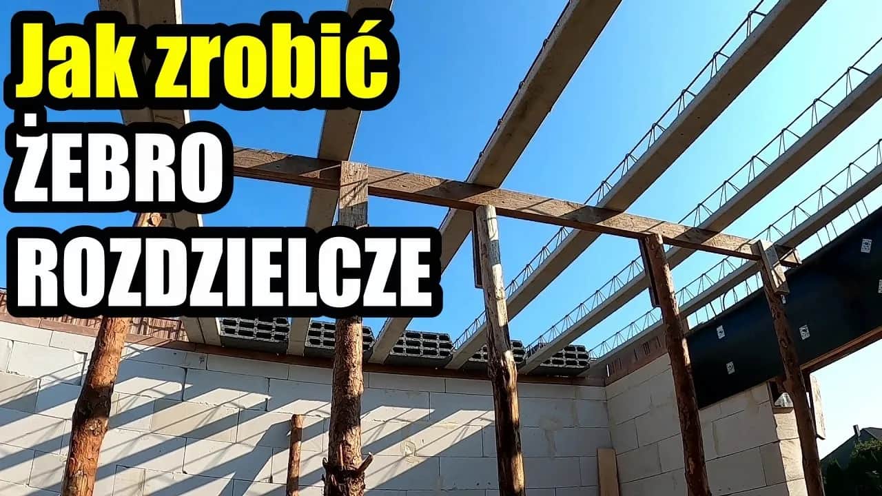 Strop Teriva: Ile żebro rozdzielcze jest potrzebne dla bezpieczeństwa?